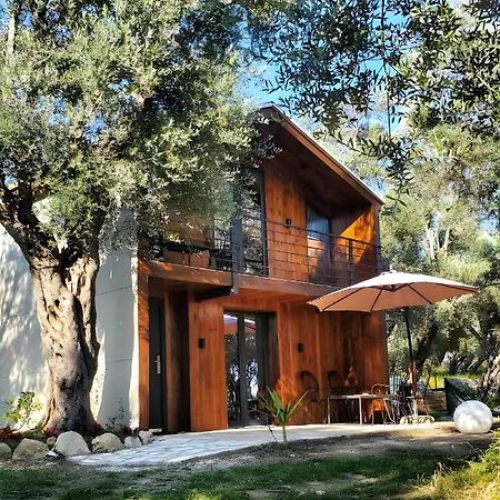 Coratina Cottage Ulcinj Exteriör bild