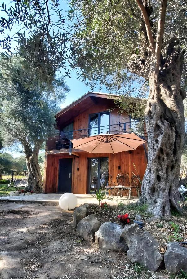 Coratina Cottage Ulcinj Exteriör bild